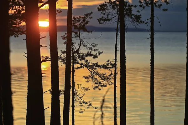 Zomer Zonsondergang Meer Natuur Prachtige Hemel — Stockfoto
