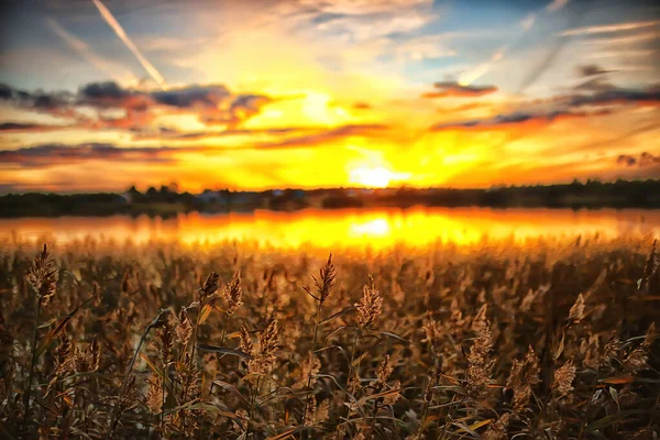 Sommar Solnedgång Sjö Natur Vacker Himmel — Stockfoto