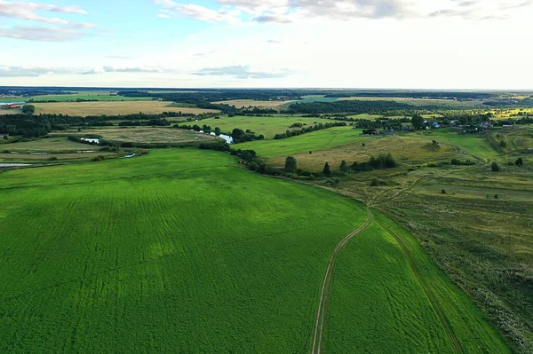 Vista Superior Del Camino Verano Drone Paisaje Naturaleza Fondo — Foto de Stock