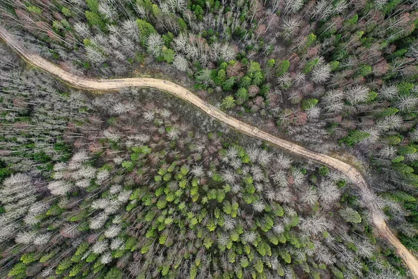 Été Route Vue Dessus Drone Nature Paysage Fond — Photo