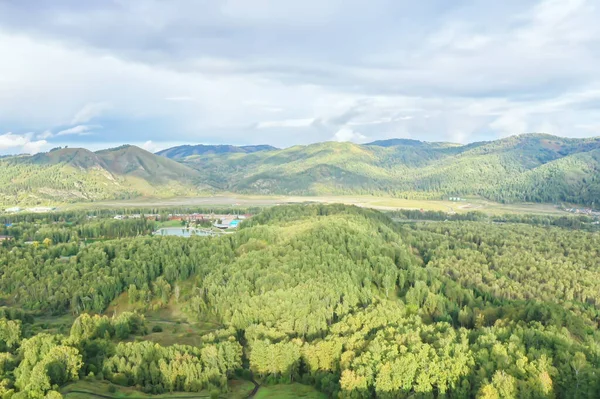 Summer Forest Top View Drone Background Green Trees Panorama Landscape — Stock Photo, Image