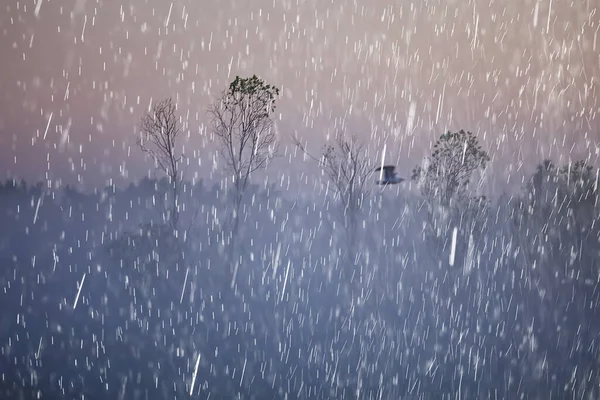 Дощ Природа Гори Абстрактний Туманний Ландшафтний Туман Темний — стокове фото