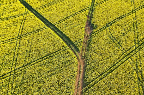 Letní Silnice Top View Drone Příroda Krajina Pozadí — Stock fotografie