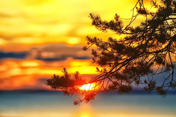 Verano Puesta Del Sol Lago Naturaleza Hermoso Cielo — Foto de Stock