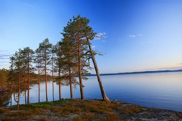 Finland Uitzicht Het Meer Zomer Waterreflectie Scandinavië — Stockfoto