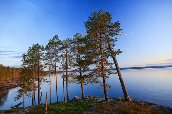 Finland Uitzicht Het Meer Zomer Waterreflectie Scandinavië — Stockfoto