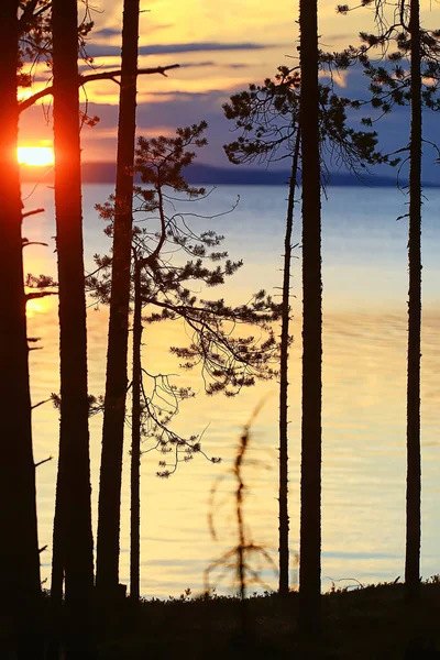 Verano Puesta Del Sol Lago Naturaleza Hermoso Cielo — Foto de Stock