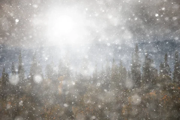 Snöstorm Vinter Stenar Vinter Snö Kallt Landskap — Stockfoto