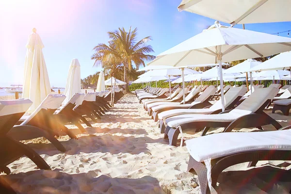 Mexico Karibisk Strand Hotell Solstolar Vid Havet Semester — Stockfoto