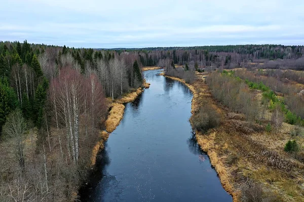 Pohled Řeku Podzim Bezpilotního Lesa Krajina Panorama Letecký Pohled — Stock fotografie