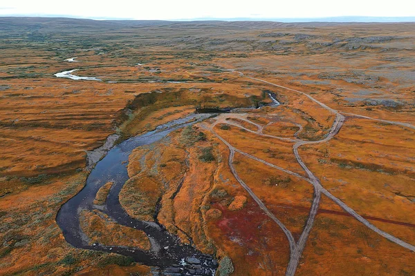 Höst Skog Taiga Utsikt Från Drönare Gula Träd Landskap Natur — Stockfoto