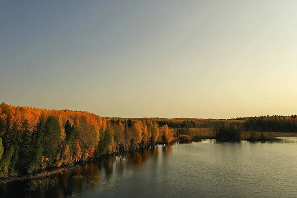 Forêt Vue Lac Paysage Vue Sur Nature Forêt Arrière Plan — Photo