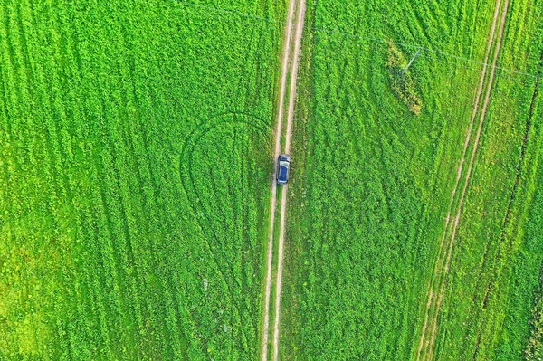 summer road top view drone, nature landscape background