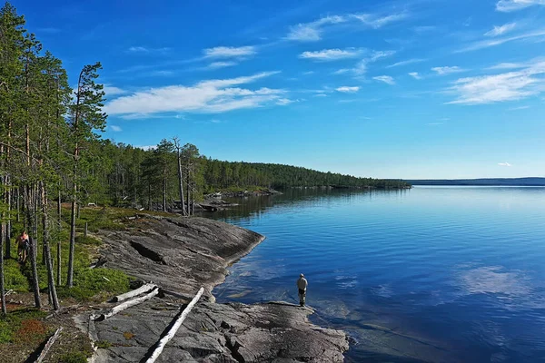 Bos Uitzicht Het Meer Landschap Uitzicht Natuur Bos Achtergrond — Stockfoto