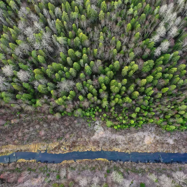 Widok Rzekę Jesień Lasu Dronów Panorama Krajobrazu Widok Lotu Ptaka — Zdjęcie stockowe