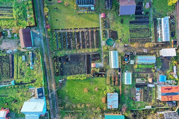 Russia Small Houses Gardens Gardening Drone View Dacha — Stock Photo, Image