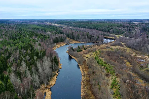 Pohled Řeku Podzim Bezpilotního Lesa Krajina Panorama Letecký Pohled — Stock fotografie