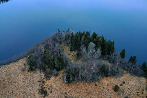 Φθινόπωρο Δάσος Χωρίς Φύλλα Top View Drone Φύση Τοπίο Φόντο — Φωτογραφία Αρχείου