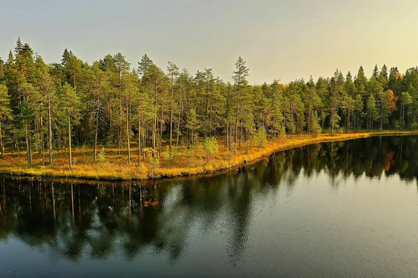 Flod Höst Utsikt Från Drönare Skog Landskap Panorama Antenn Utsikt — Stockfoto