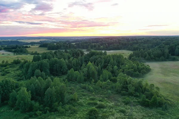 Verano Bosque Vista Superior Drone Fondo Verde Árboles Panorama Paisaje — Foto de Stock