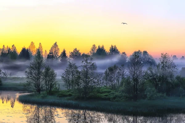 Letní Západ Slunce Jezero Příroda Krásná Obloha — Stock fotografie