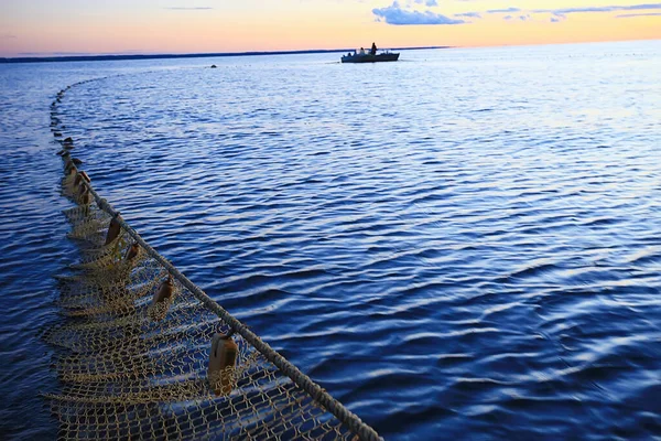 Finland Uitzicht Het Meer Zomer Waterreflectie Scandinavië — Stockfoto