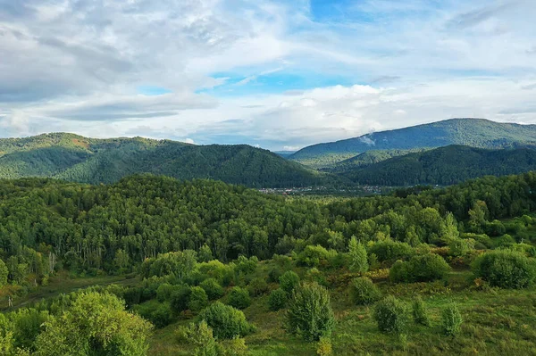 Summer Forest Top View Drone Background Green Trees Panorama Landscape — Stock Photo, Image