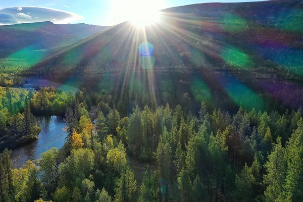 Nyári Erdő Felülnézet Drón Háttér Zöld Fák Panoráma Táj — Stock Fotó