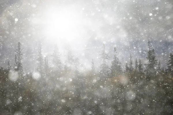 Śnieżyca Zimowe Skały Zimowy Śnieg Zimny Krajobraz — Zdjęcie stockowe