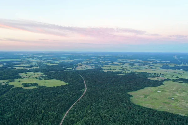 Verano Bosque Vista Superior Drone Fondo Verde Árboles Panorama Paisaje — Foto de Stock