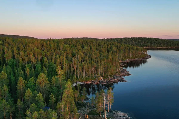 Καλοκαίρι Δάσος Top View Drone Φόντο Πράσινα Δέντρα Πανόραμα Τοπίο — Φωτογραφία Αρχείου