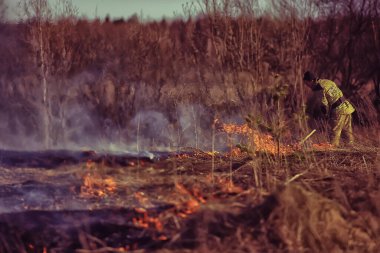 Vologda, Rusya - 22 Nisan: Çimler yanıyor, yangın devam ediyor, bir itfaiyeci 22 Nisan 2019 Vologda, Rusya 'daki orman yangınını söndürdü