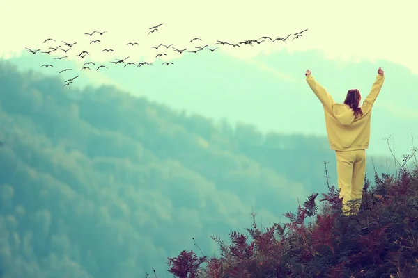 Pessoa Voando Pássaros Liberdade Montanhas Vencedor Férias Conceito Natureza Paisagem — Fotografia de Stock