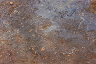 Benzin birikintisi, ıslak yağ çok renkli gökkuşağı kirliliği sızıntısı.