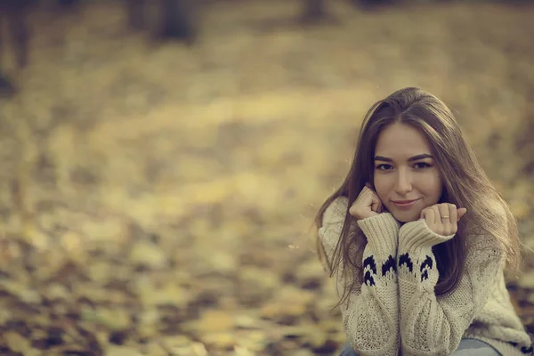 Suéter Niña Otoño Estilo Vida Punto Parque Aspecto Atractivo — Foto de Stock