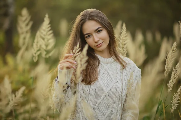 Autunno Ragazza Maglione Maglia Stile Stile Vita Parco Aspetto Attraente — Foto Stock