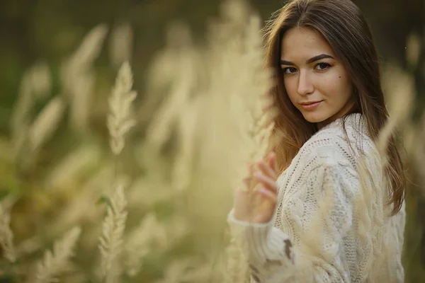 Autunno Ragazza Maglione Maglia Stile Stile Vita Parco Aspetto Attraente — Foto Stock