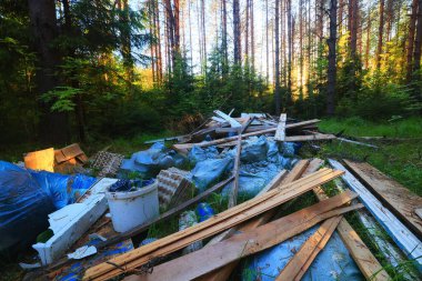 Orman çöplüğü ekoloji konsepti, kirlilik doğa koruma ormanı çöplerden