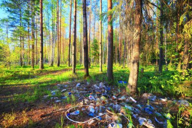 Yeşil Park 'ta güneşli bir yaz günü, arka planda güzel manzara ağaçları.