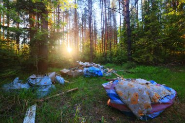 Orman çöplüğü ekoloji konsepti, kirlilik doğa koruma ormanı çöplerden