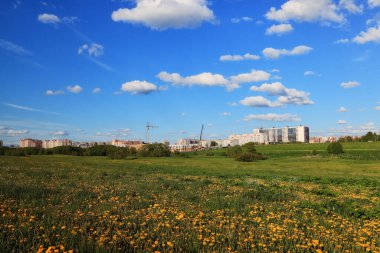 Şehrin sınırında yaz manzarası. Evlerin arka planında sarı çiçekli karahindibalar var.