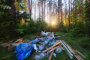 Orman çöplüğü ekoloji konsepti, kirlilik doğa koruma ormanı çöplerden