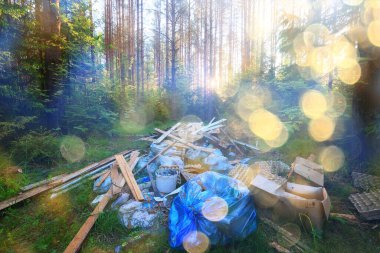 Orman çöplüğü ekoloji konsepti, kirlilik doğa koruma ormanı çöplerden