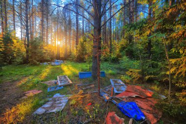 Orman çöplüğü ekoloji konsepti, kirlilik doğa koruma ormanı çöplerden
