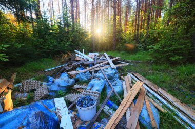 Orman çöplüğü ekoloji konsepti, kirlilik doğa koruma ormanı çöplerden