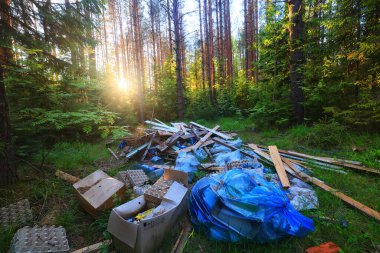 Orman çöplüğü ekoloji konsepti, kirlilik doğa koruma ormanı çöplerden