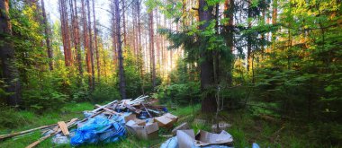 Orman çöplüğü ekoloji konsepti, kirlilik doğa koruma ormanı çöplerden