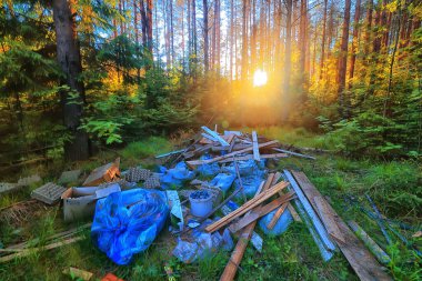 Orman çöplüğü ekoloji konsepti, kirlilik doğa koruma ormanı çöplerden