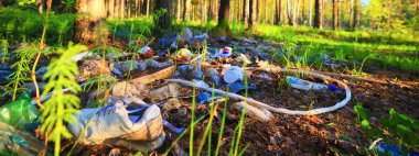 Orman çöplüğü ekoloji konsepti, kirlilik doğa koruma ormanı çöplerden