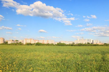 Şehrin sınırında yaz manzarası. Evlerin arka planında sarı çiçekli karahindibalar var.